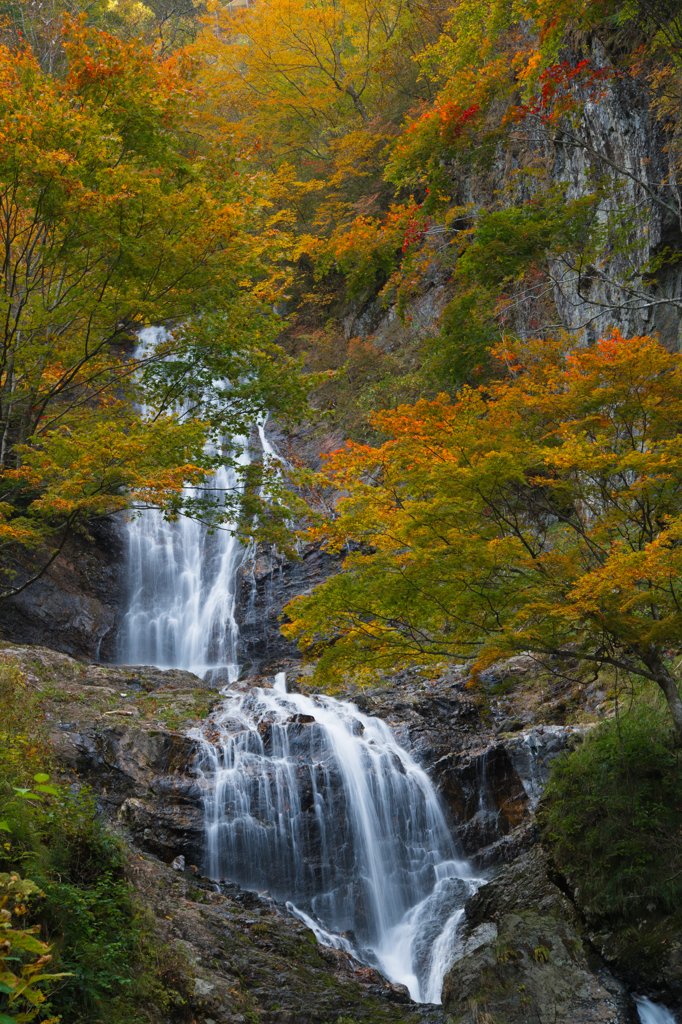 唐沢の滝　彩