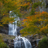 唐沢の滝　彩