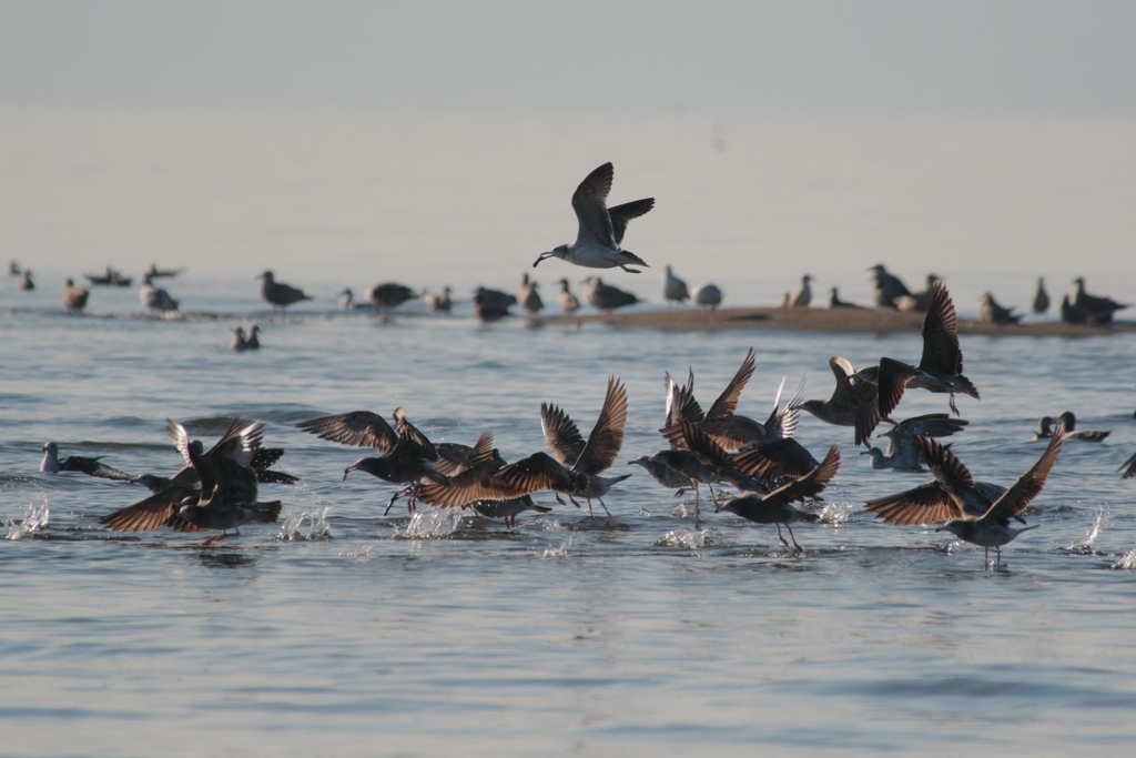 ウインターウインド(2)