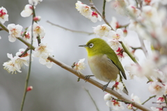 春風に包まれて(4)