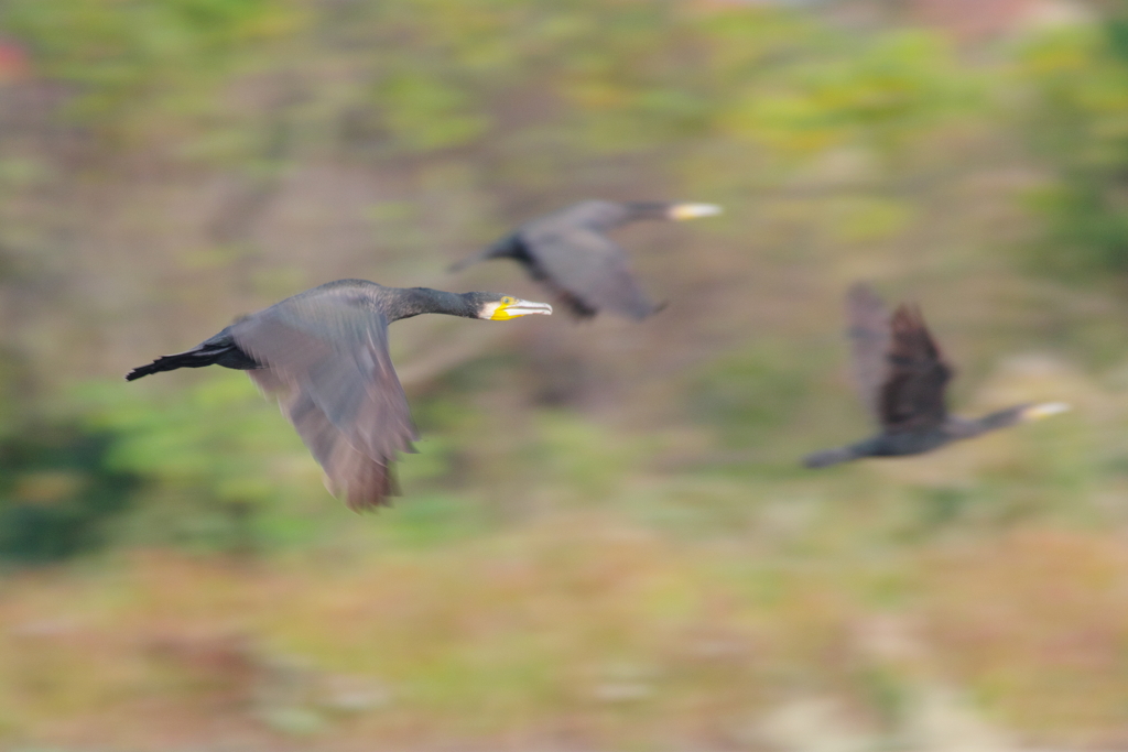 秋風を巻いて(12)