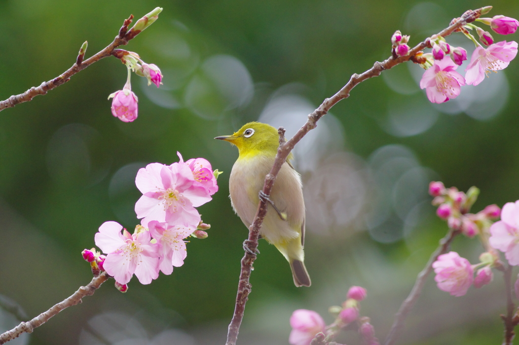 春風に包まれて(7)