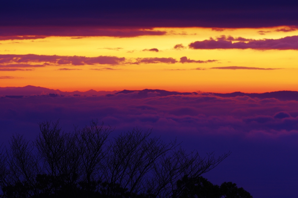 紫雲(1)