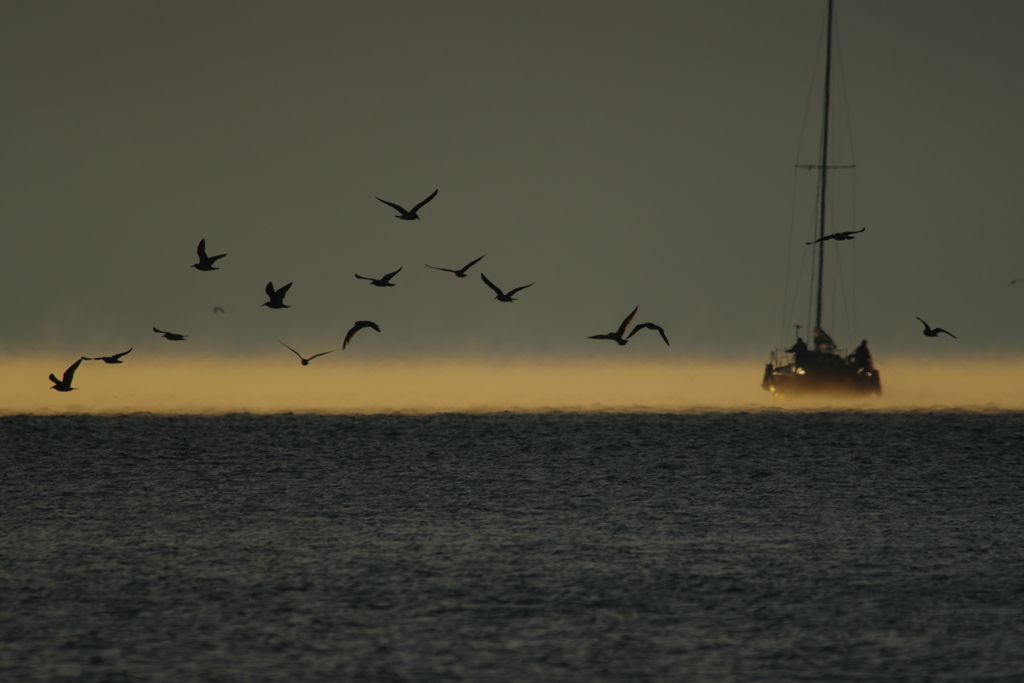 秋風を巻いて(4)