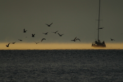 秋風を巻いて(4)