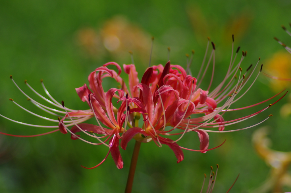 不透明な気分(4)