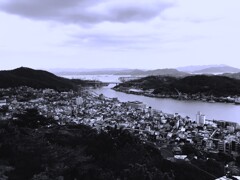 前途半々(1)