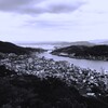 前途半々(1)