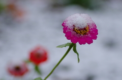 雪雲の隙間(3)