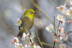 春風に包まれて(10)