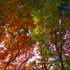 いつかの秋の風(4)