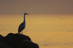 夜明けの海のアダージョ（くつろぎ）(1)