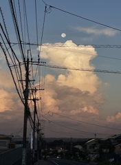 薄月
