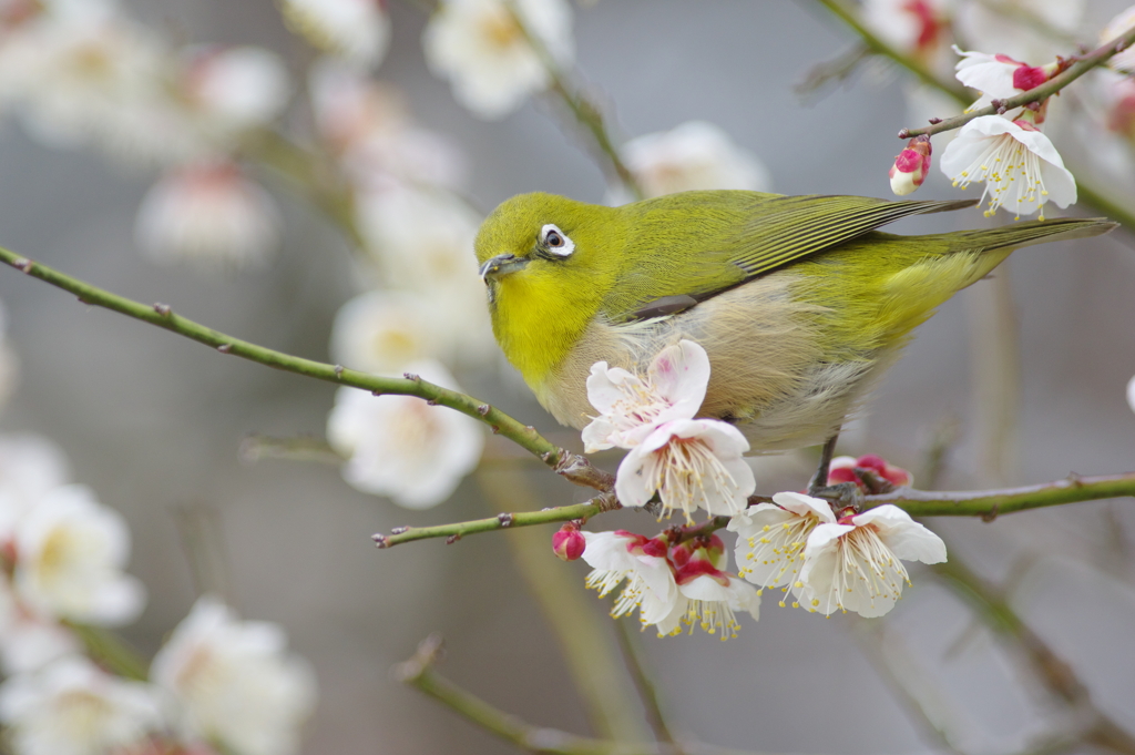 春風に包まれて(5)