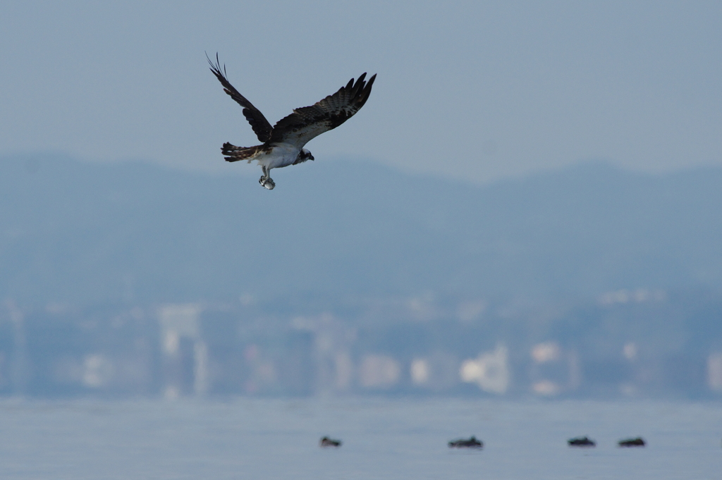 風待ち暮らし(6)