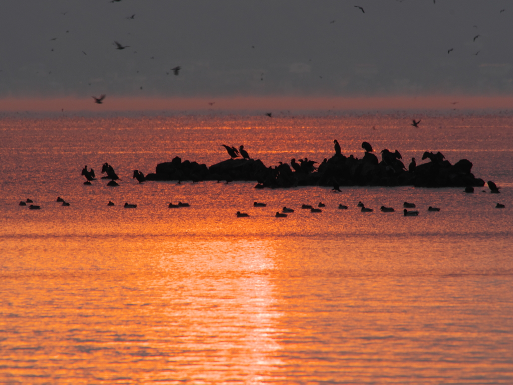 ウインターウインド(4)