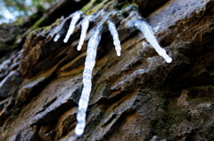 仰烏帽子山登山　冬のなごり(1)