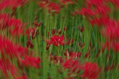 残暑めまい(4)