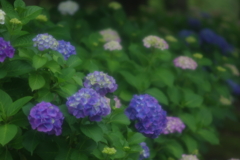 風の回廊(1)