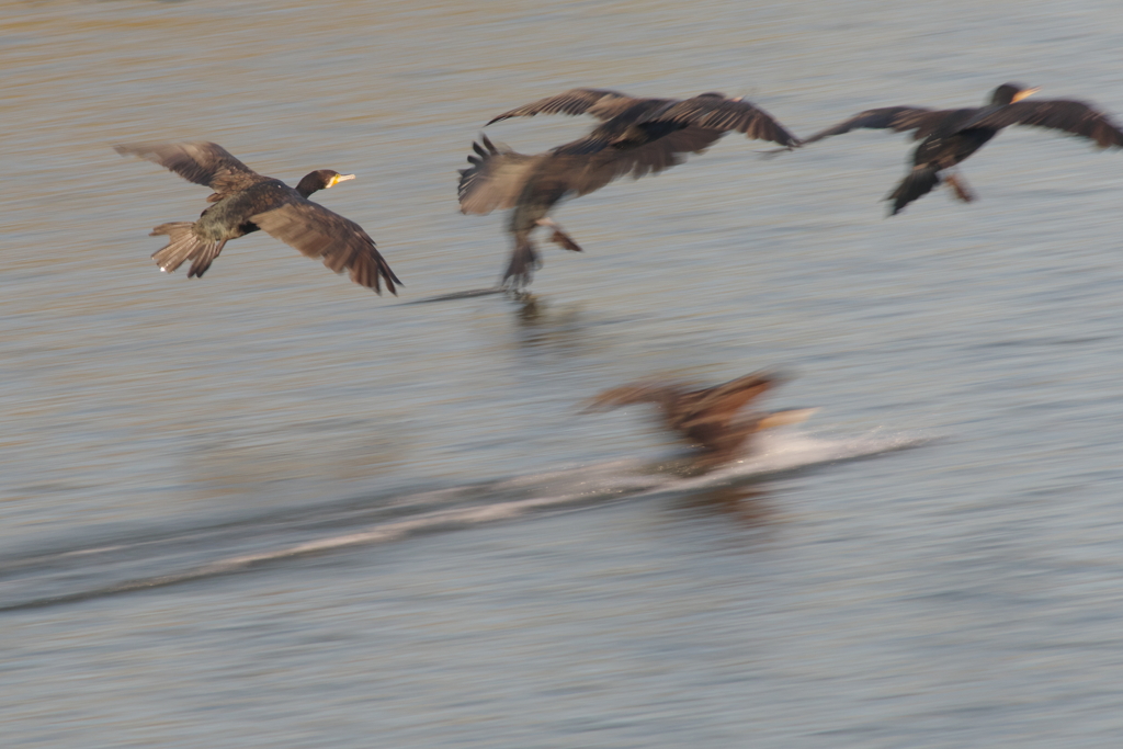 秋風を巻いて(9)