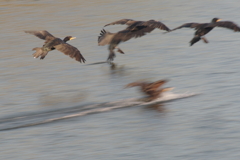 秋風を巻いて(9)