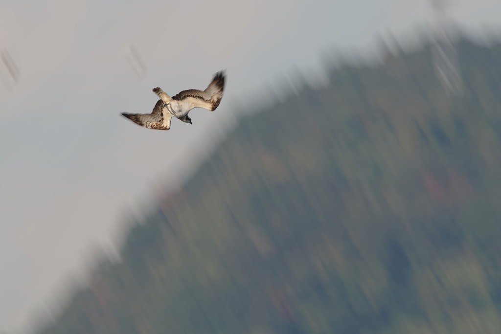 秋風を巻いて(1)