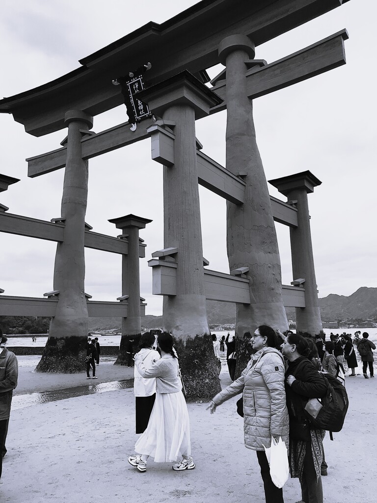 前途半々(5)