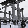 前途半々(5)