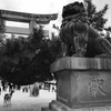 前途半々(7)
