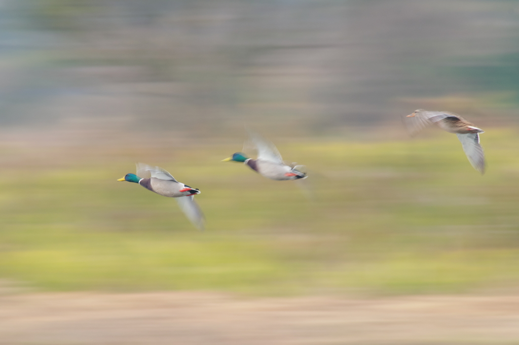 秋風を巻いて(14)