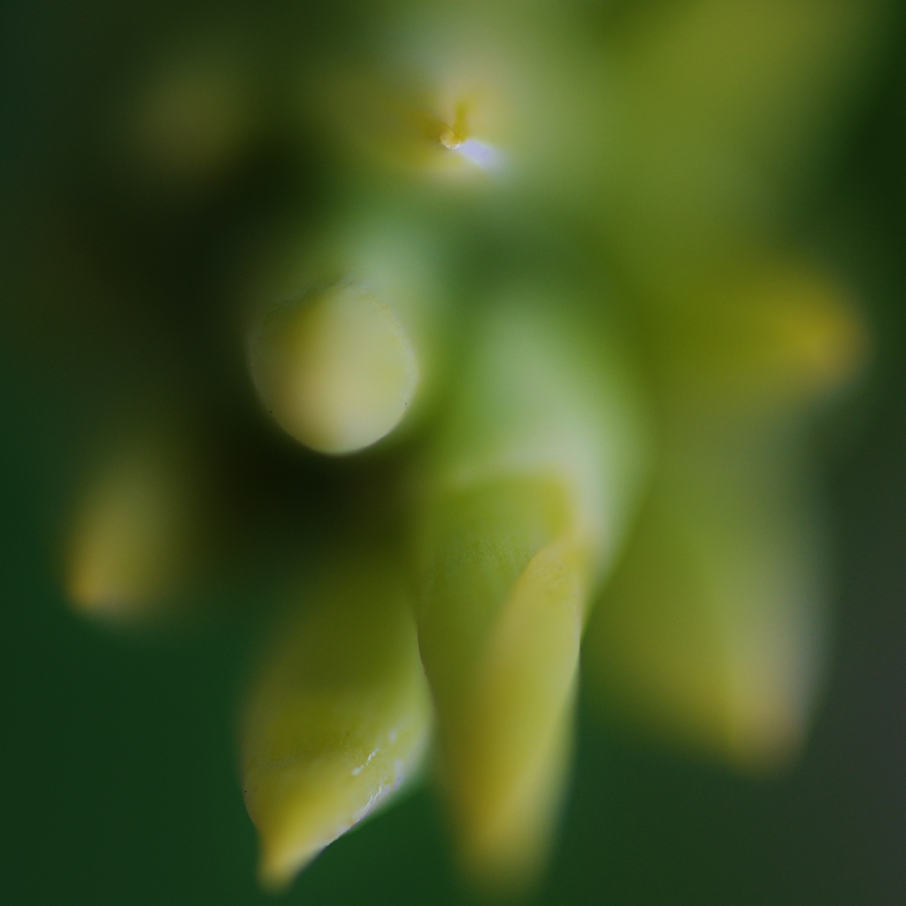 あおあおとした(3)