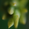 あおあおとした(3)