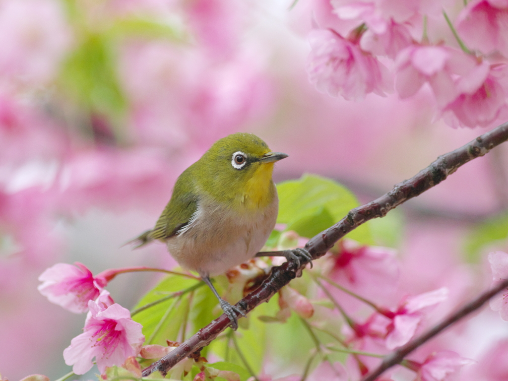 春雨の吐息(22)