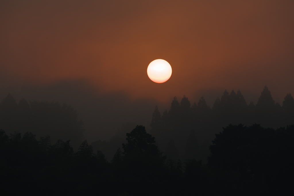 渡りの季節（14）