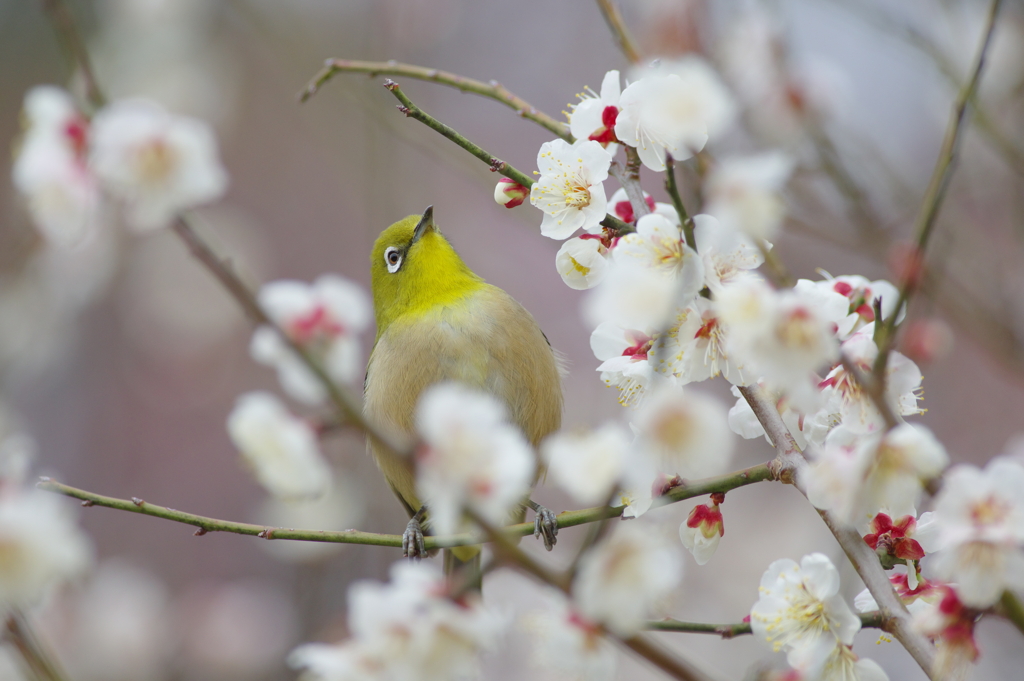 春風に包まれて(6)