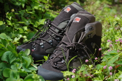 私を登山に連れてって