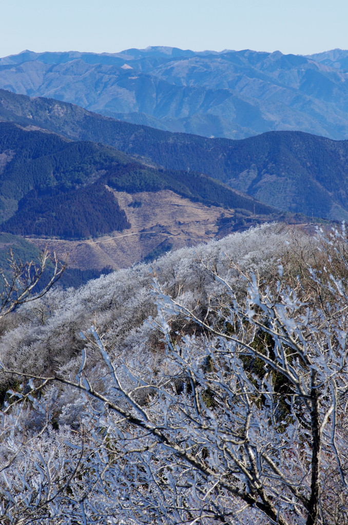 仰烏帽子山登山 氷の花(1)