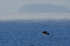 初春の海