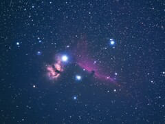 マフラーもカメラも凍るオリオン座