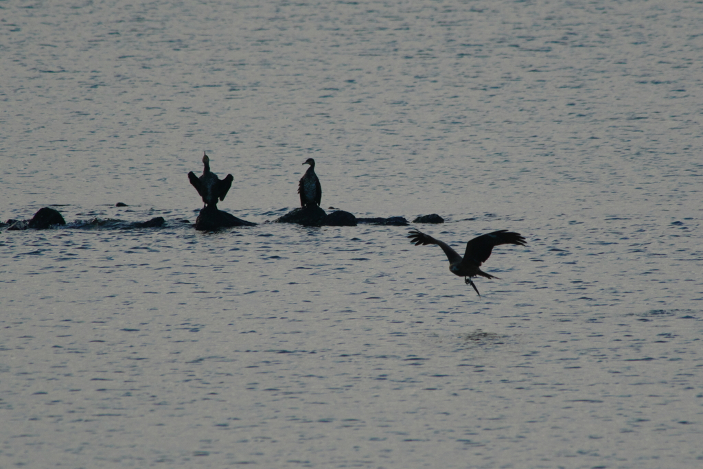 ウインターウインド(5)