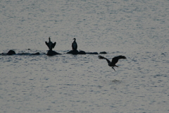 ウインターウインド(5)