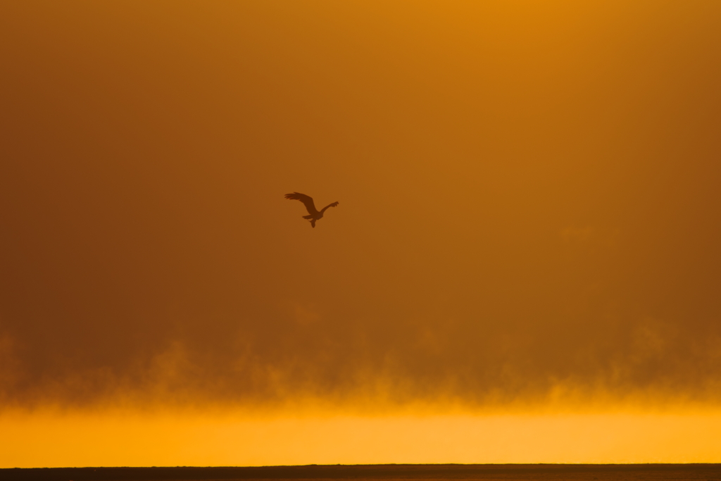 秋風を巻いて(2)