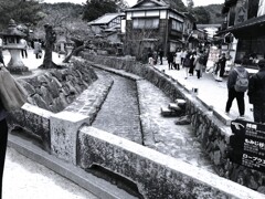 前途半々(6)