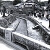 前途半々(6)