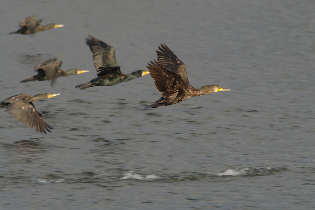 秋風を巻いて(5)