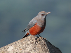 ウインターウインド(13)