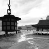 前途半々(4)