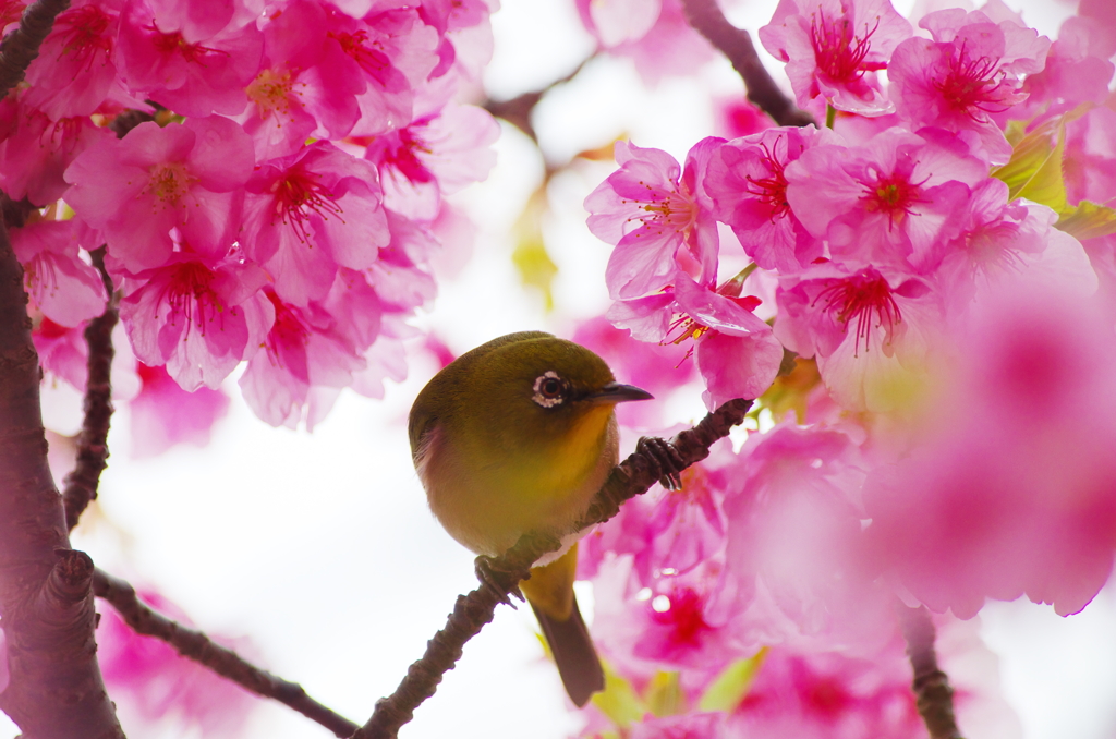 蜜の味(3)