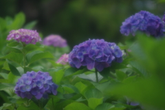 風の回廊(4)