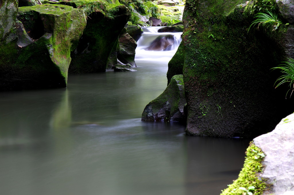 生活感(1)